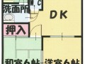 e38392e383abe382bae3839ce38383e382afe382b92e383bb3e795aae9a4a8e99693e58f96